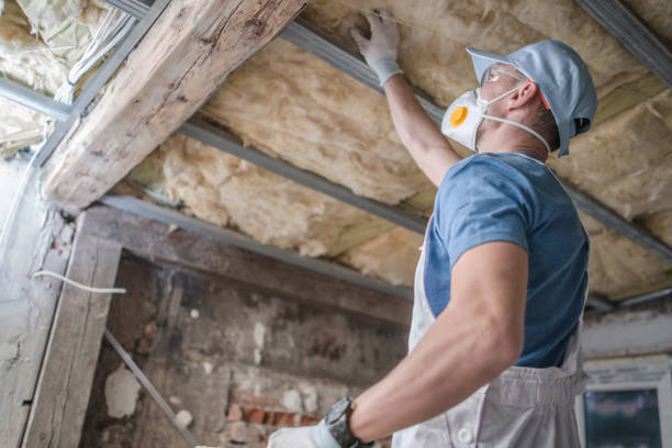 Best Eco-Friendly Insulation in Santa Clara, NM